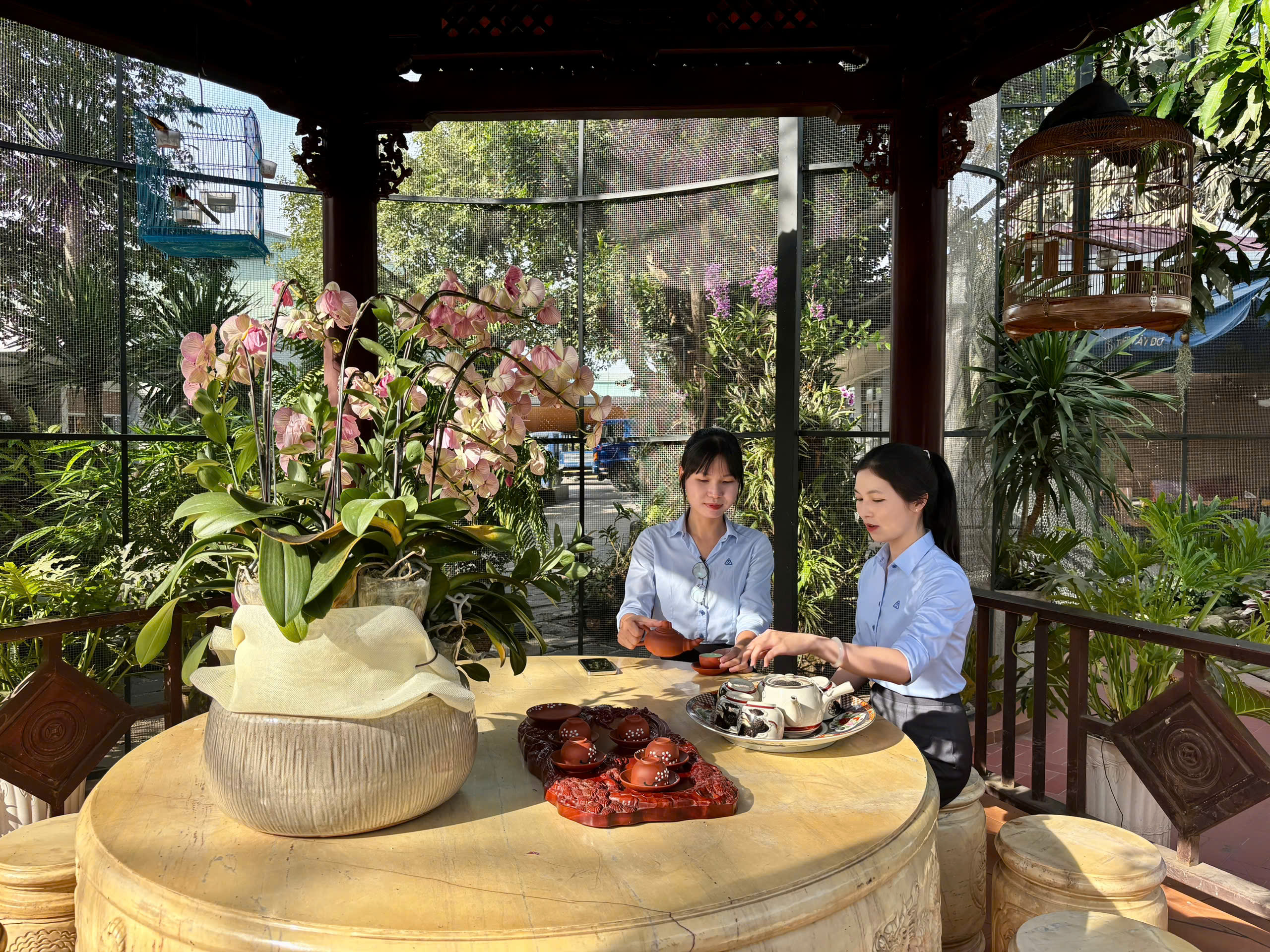 តំបន់ Aviary កណ្ដាលរោងចក្រ — កន្លែងធម្មជាតិសម្របសម្រួលជាមួយចង្វាក់ដែក