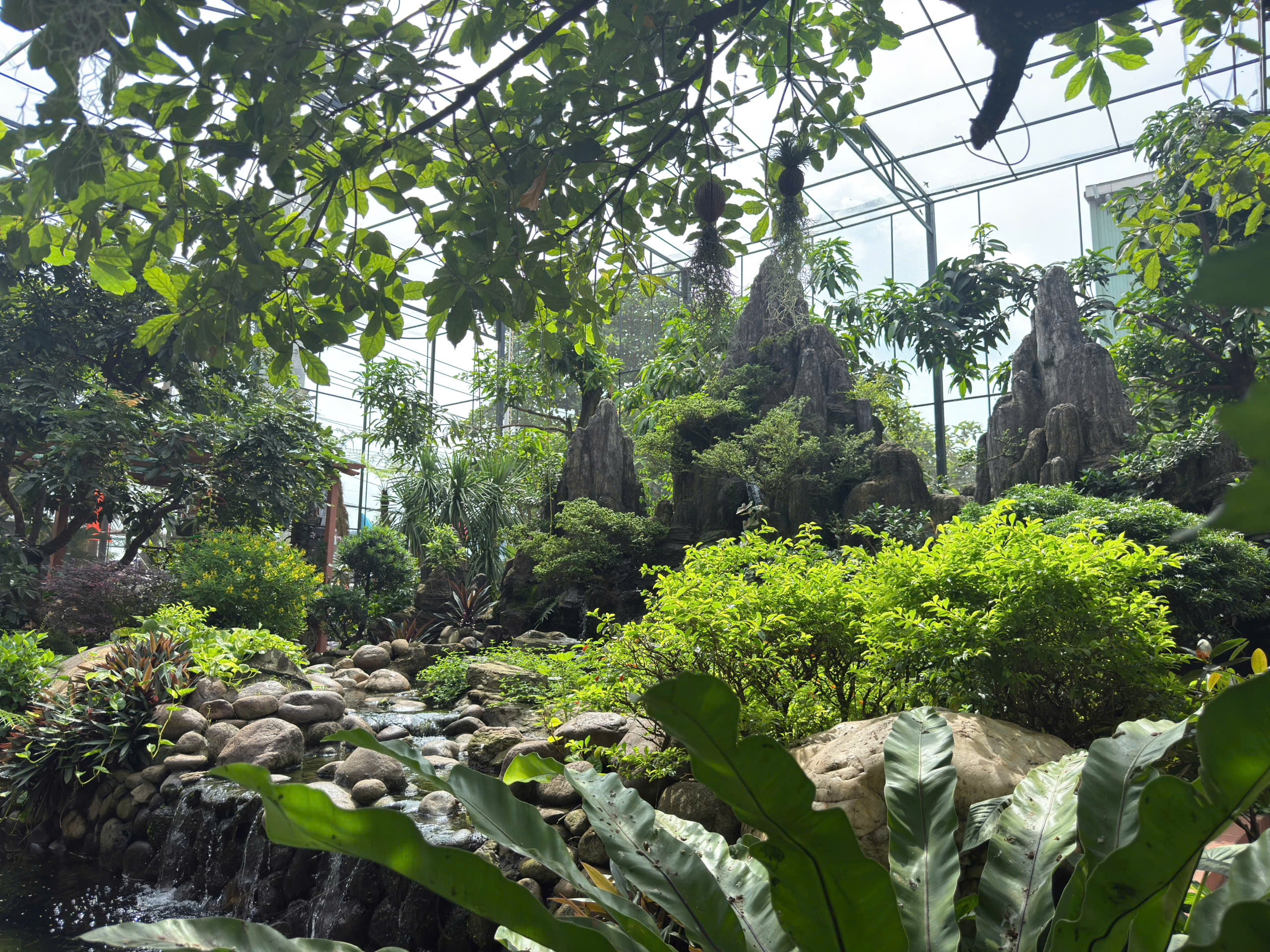 លំហបៃតង និងរចនាប័ទ្មបើកចំហនៅតំបន់ Aviary ថាមពលធម្មជាតិ Thep Tay Do