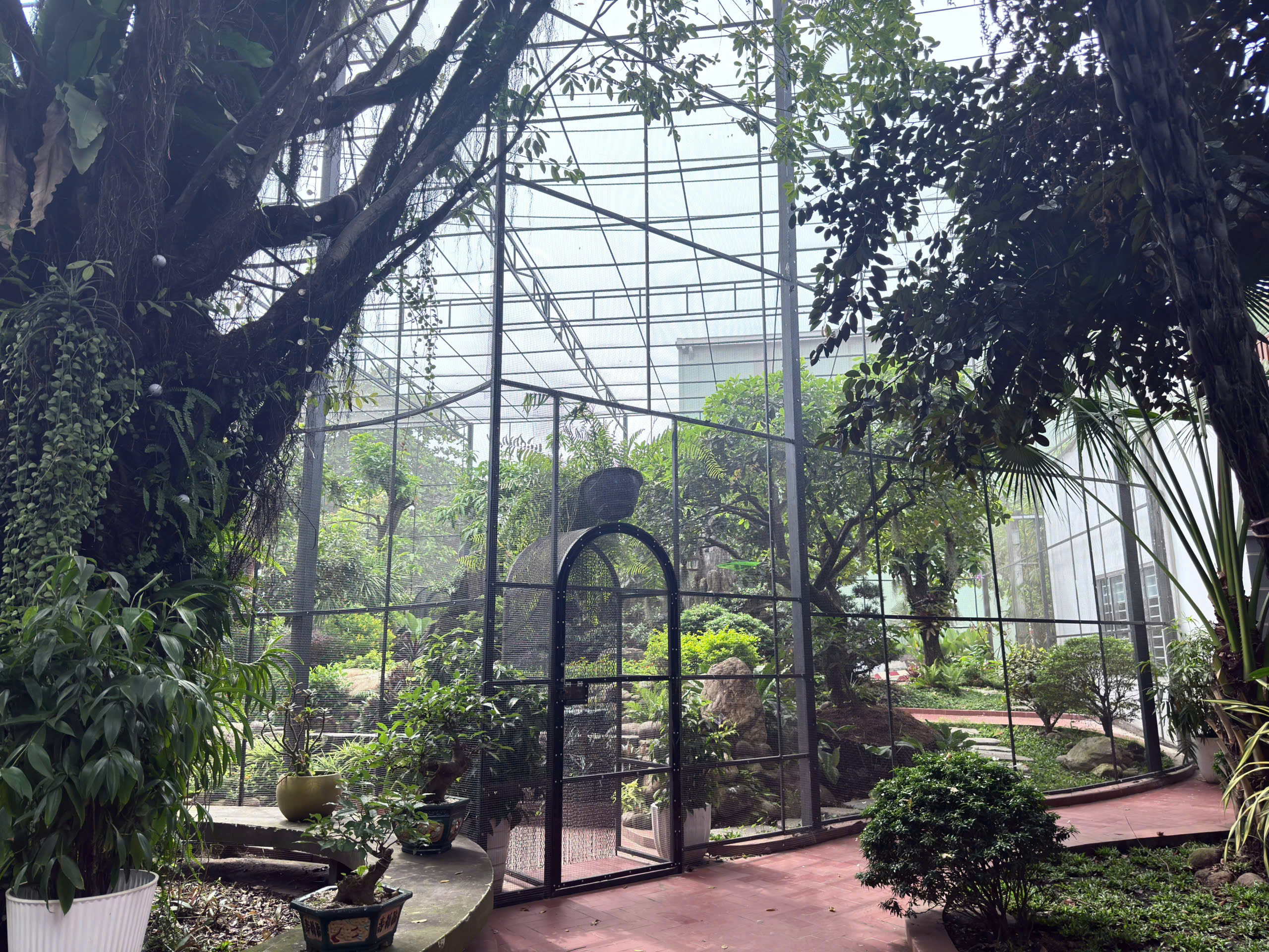 សំណង់ដែកស័ង្កសី និងដំបូល polycarbonate នៅតំបន់ Aviary