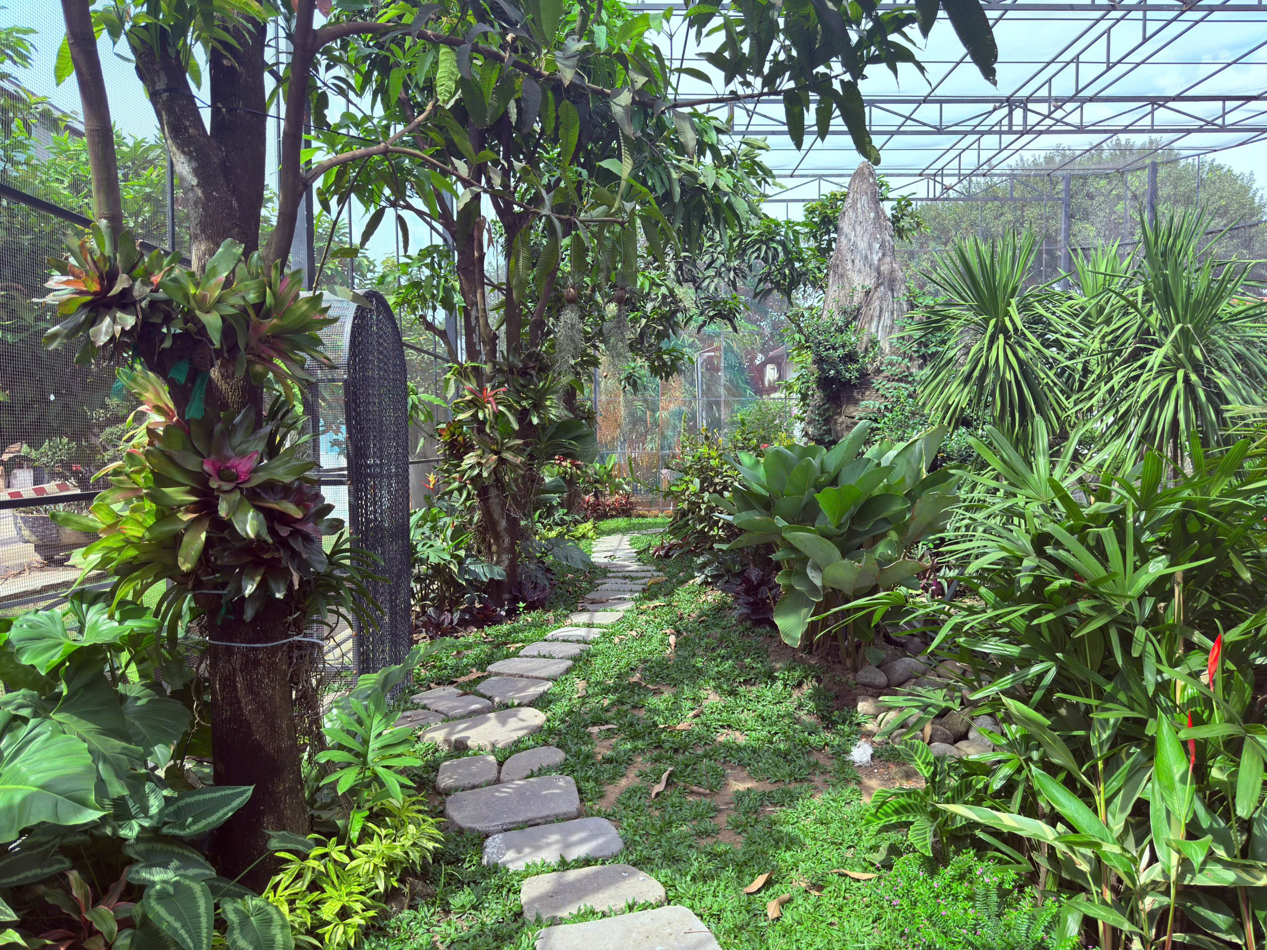 លំហបៃតងជាប្រព័ន្ធធម្មជាតិច្រើនជាន់នៅក្នុង Aviary