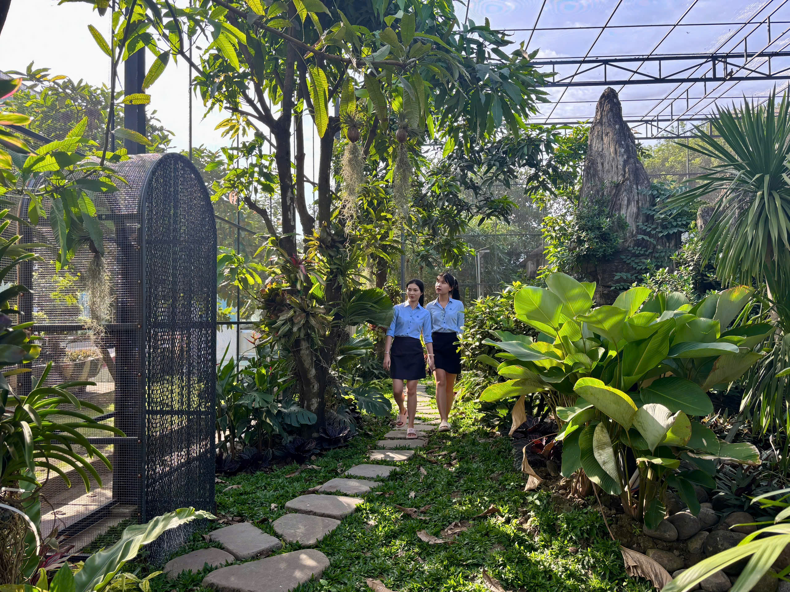 លំហធម្មជាតិនៅក្នុង Aviary ជួយចិញ្ចឹមវិញ្ញាណបៃតងរបស់ Thep Tay Do